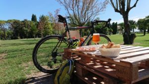  Cannondale cykloktros